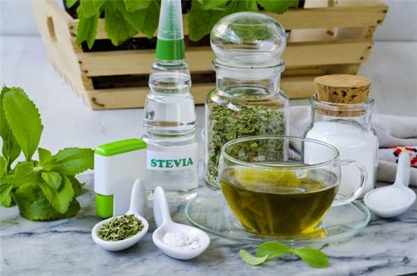 Stevia rebaudiana Pot C1.5 ** Edulcorant de sucre végétal ** - Central  Jardin