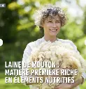 laine-mouton-compo.webp