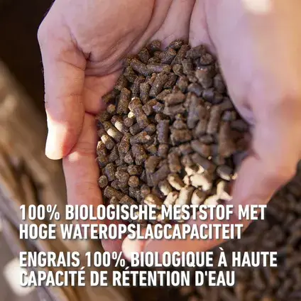 5411196041152-2.webp
