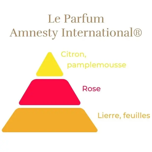 Rosier Amnesty International®-2.webp