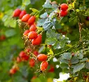 AdobeStock_438985553.webp