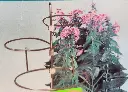20250701_122024.webp