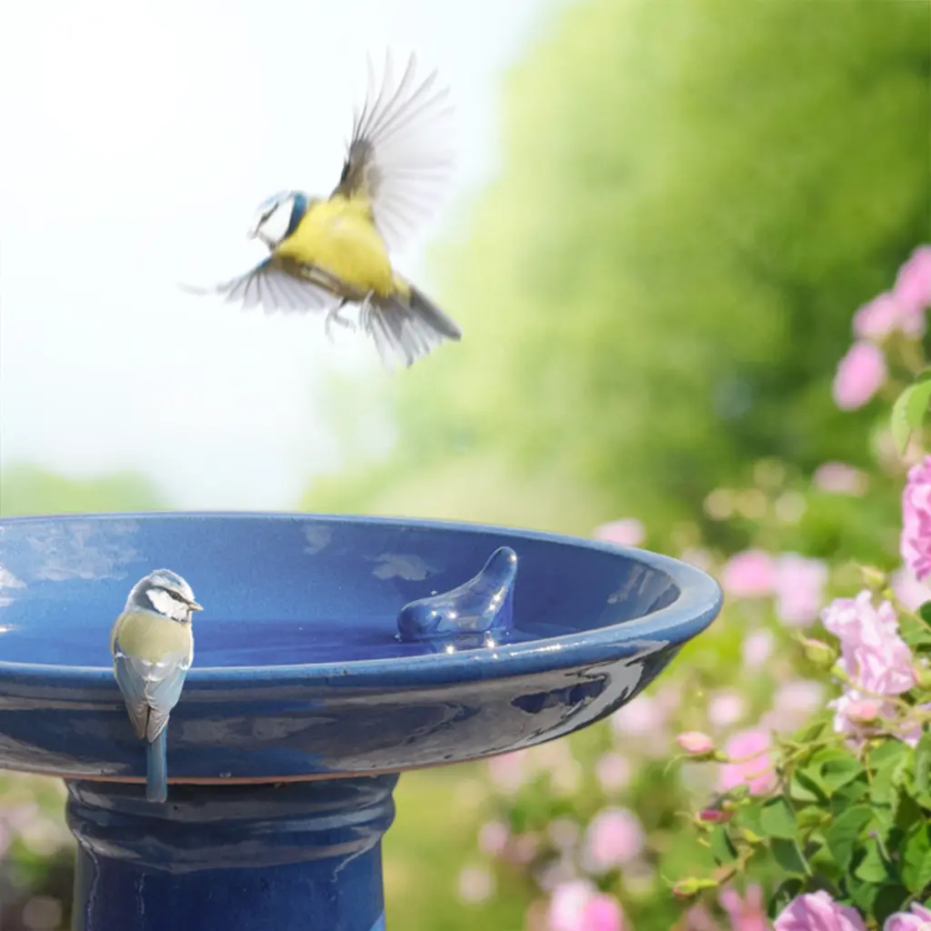 FB422_40.webp