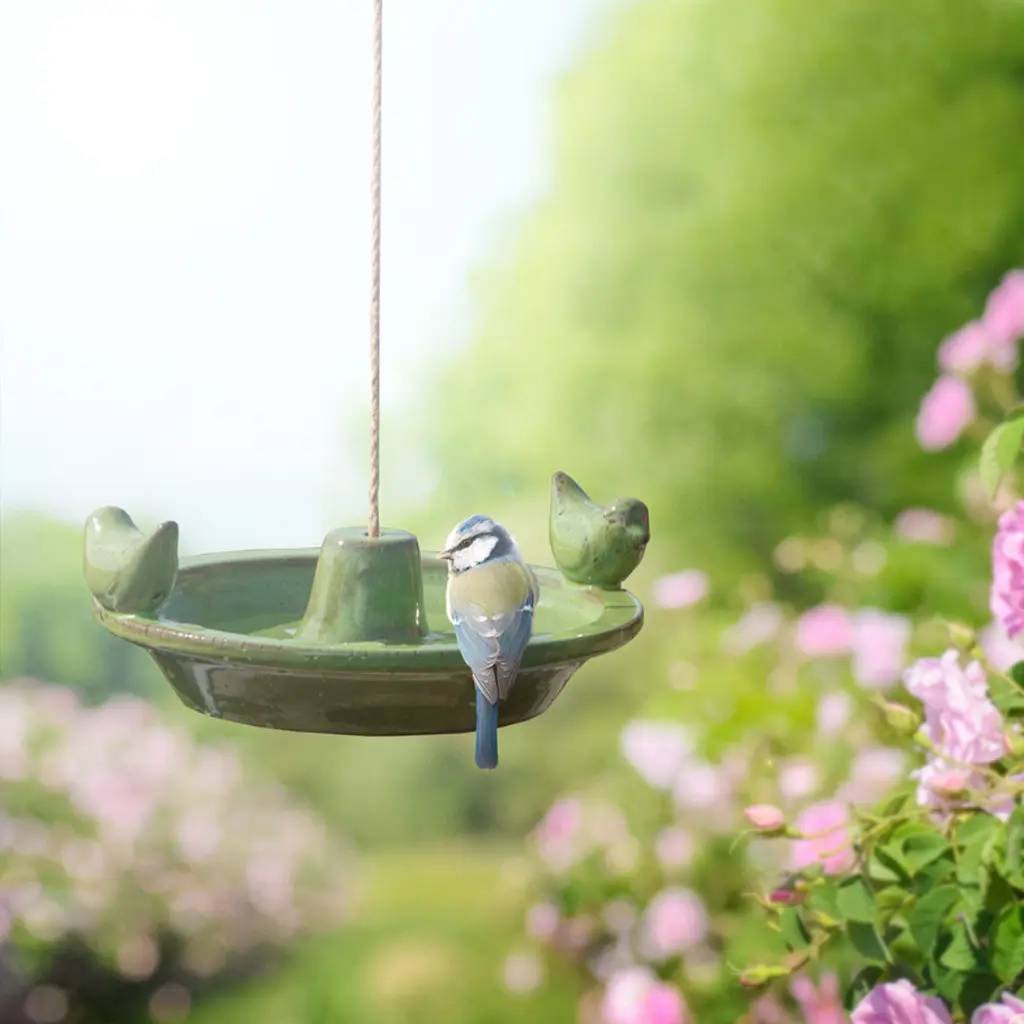 FB443_42.webp