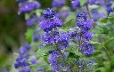 AdobeStock_216117891.webp