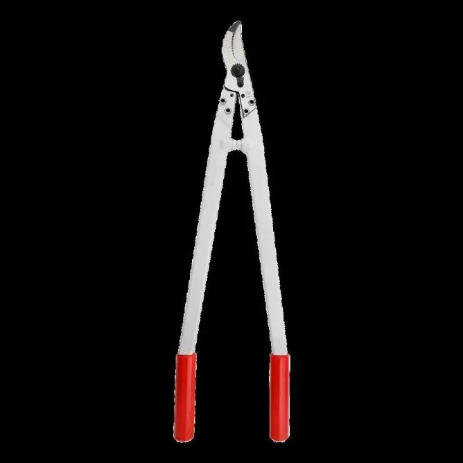 felco21-2.webp