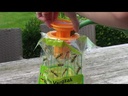 youtube - [Video]