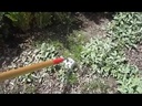 youtube - [Video]