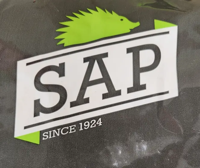 sap-20250730_133641.webp