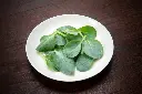 Mertensia Maritima -AdobeStock_271025928.webp