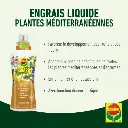 Mediterrane-USP (FR).webp