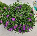 20250829_164504.webp