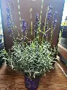 20250905_142541.webp