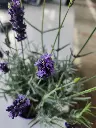 20250905_142512.webp