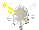 145341-2.webp