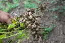 AdobeStock_1501085600.webp