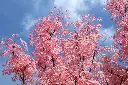 AdobeStock_869441802.webp