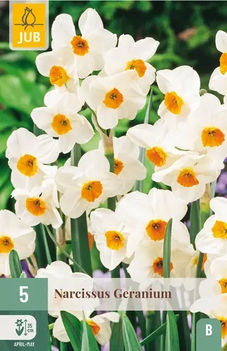 23030__87524 (1).webp