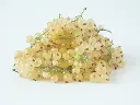 groseilles-blanches-AdobeStock_37411090.webp