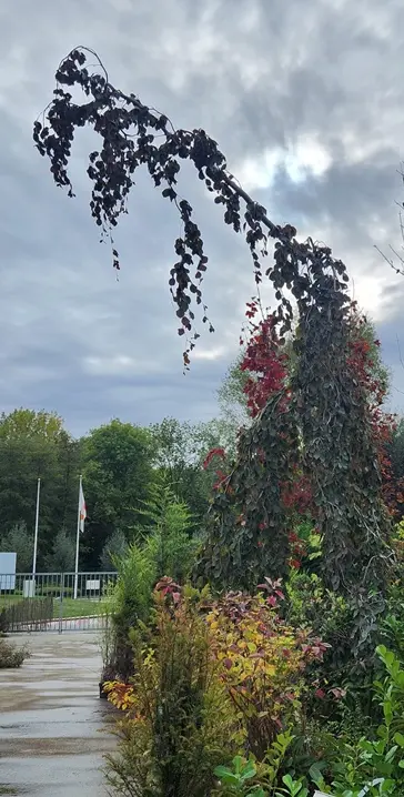 20250923_102026 (1).webp