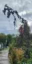 20250923_102026 (1).webp
