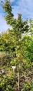 20250925_113445.webp