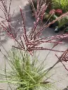 20250926_151706.webp
