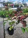 20250926_152746.webp