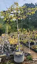 20250923_094223.webp