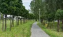 AdobeStock_245612919.webp