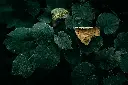 unsplash_mvNd5Rw79-s_tilia.jpg.webp
