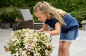 ophelia-2.webp