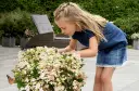 ophelia-2.webp