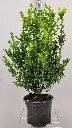 20251017_120709.webp