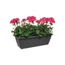 Elho Barcelona Trough 40cm - Taupe