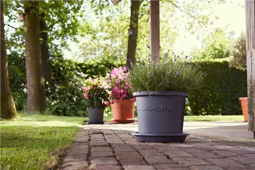 Elho Algarve Cilindro 25cm - Anthracite