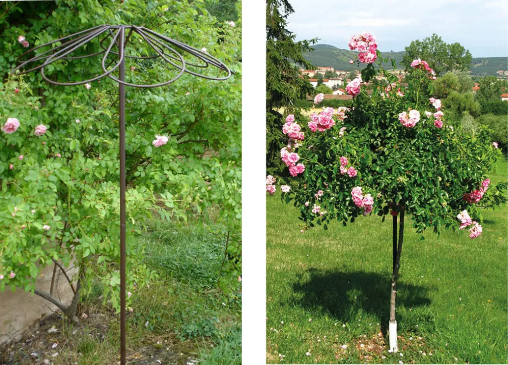 sliderproduit-parapluie-3646 (1).webp