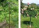 sliderproduit-parapluie-3646 (1).webp