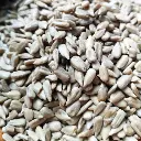graines-de-tournesol-decortiquees.webp