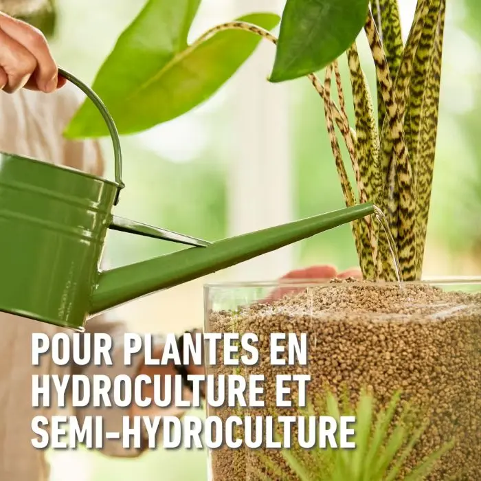 Granuplant-hydrocultuur (FR).webp