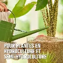 Granuplant-hydrocultuur (FR).webp