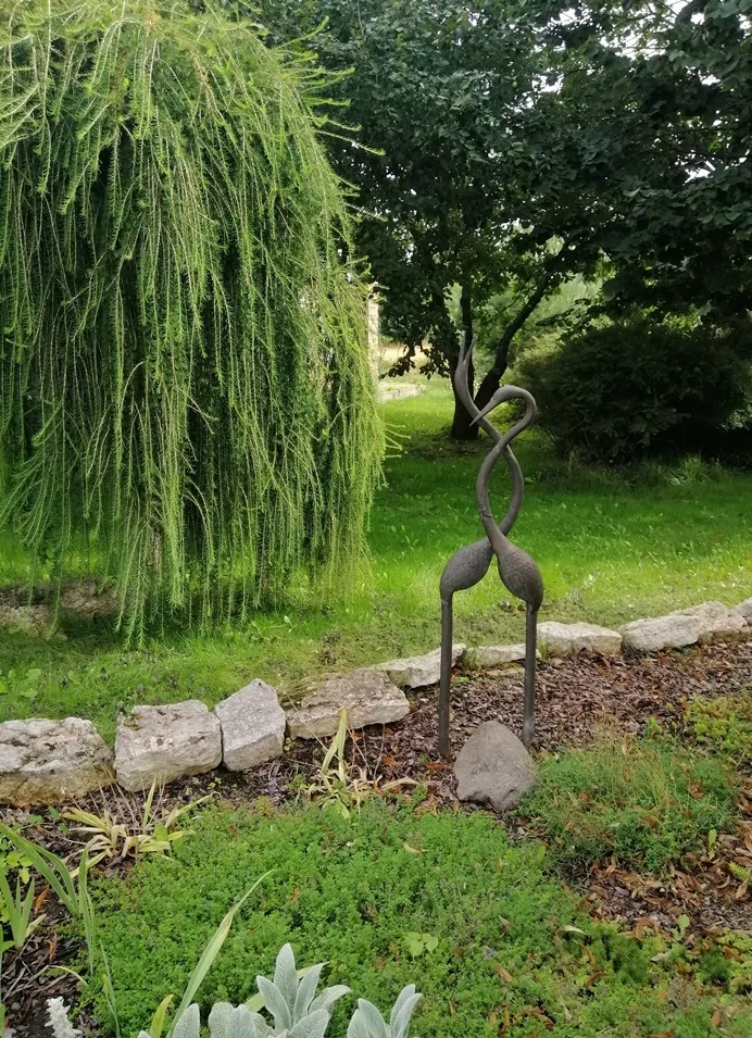 Larix kaempferi Stiff Weeper-AdobeStock_667826457.webp