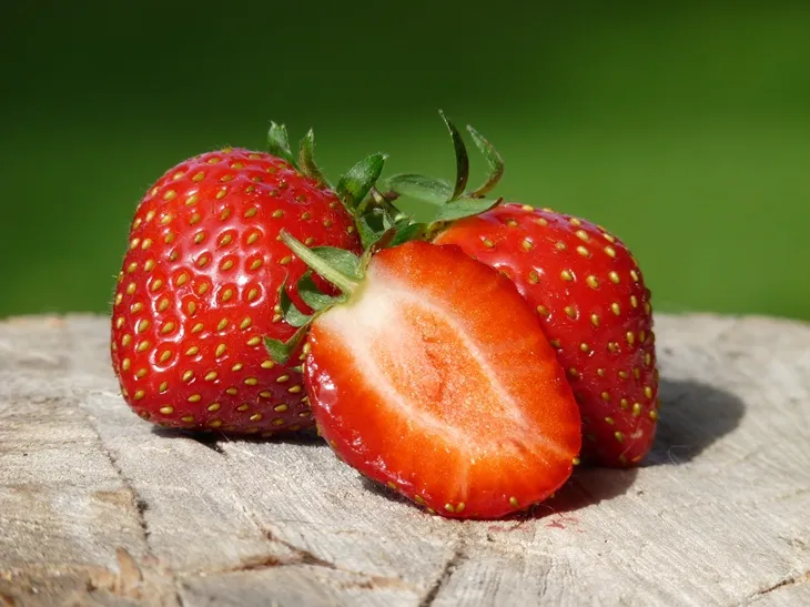 Fraisier MARA DES BOIS -AdobeStock_40442259.webp