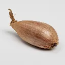 longor.webp