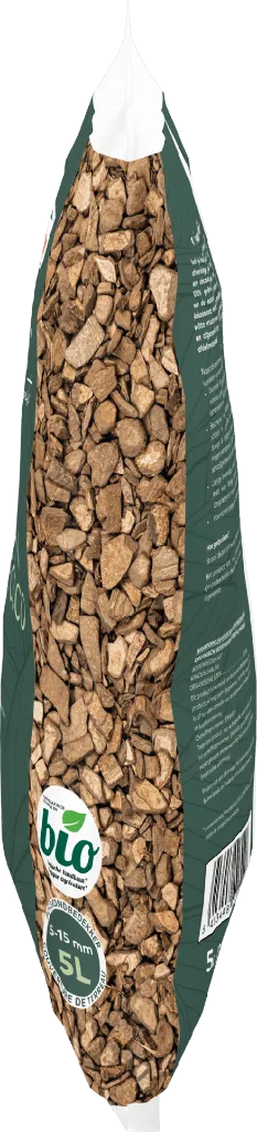 Coques noix de coco décoratives.webp