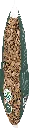 Coques noix de coco décoratives.webp