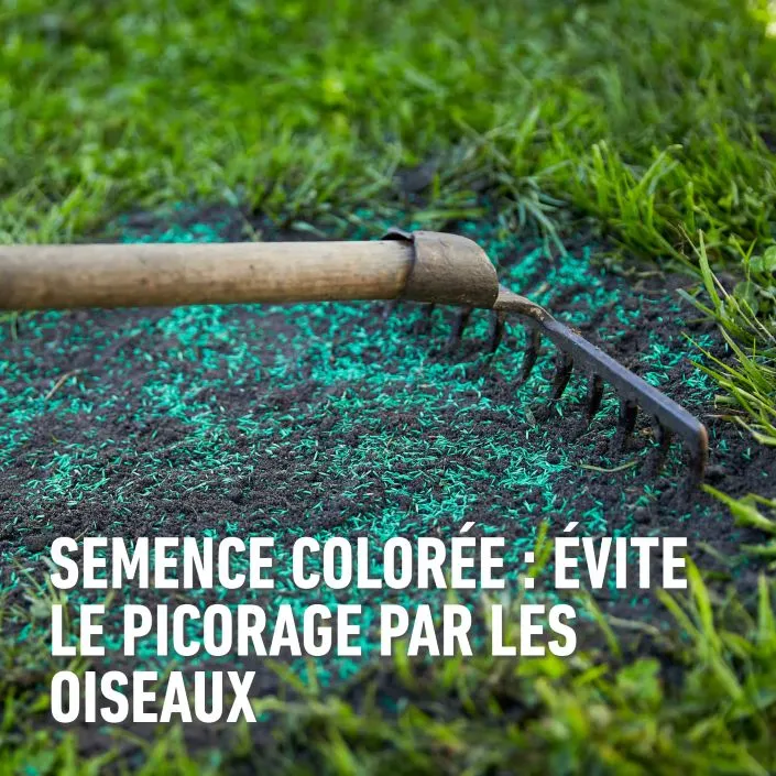 compo-Sport-USP_1kg (FR).webp