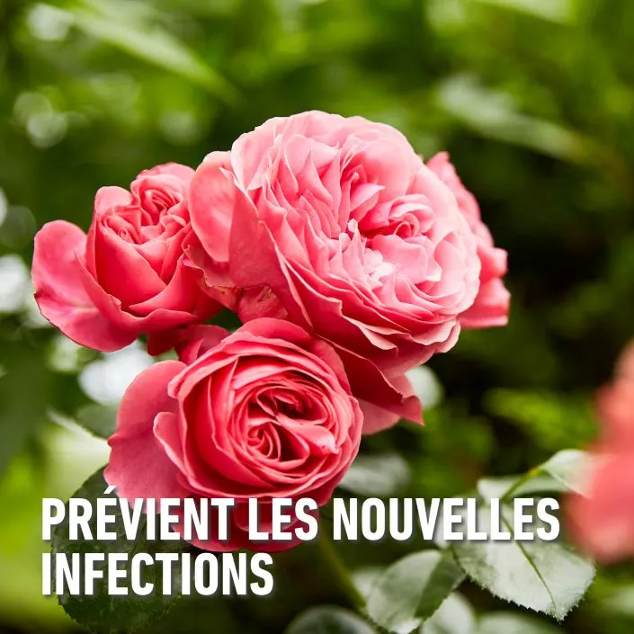 Duaxo_spray-preventief (FR).webp