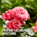 Duaxo_spray-preventief (FR).webp