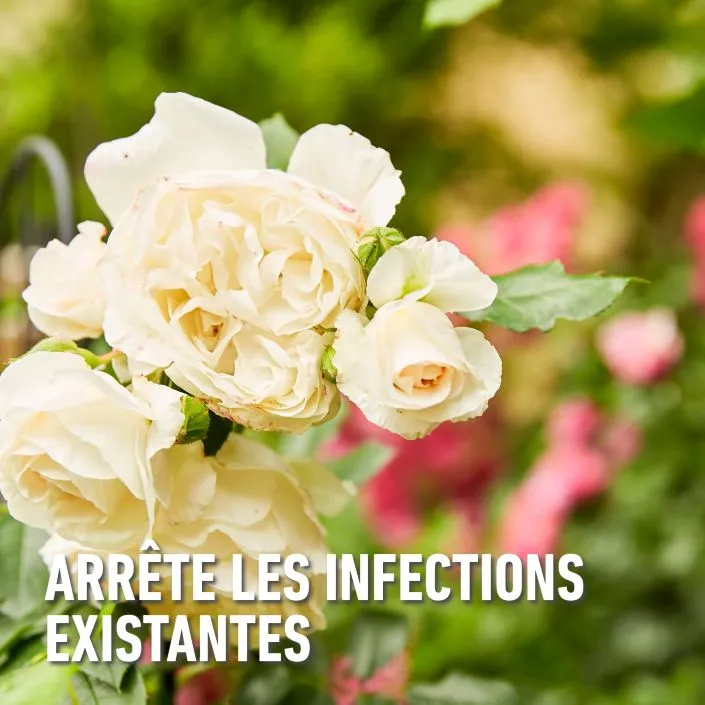 Duaxo_spray-curatief (FR).webp
